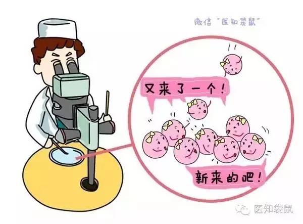 正规黑客追款平台