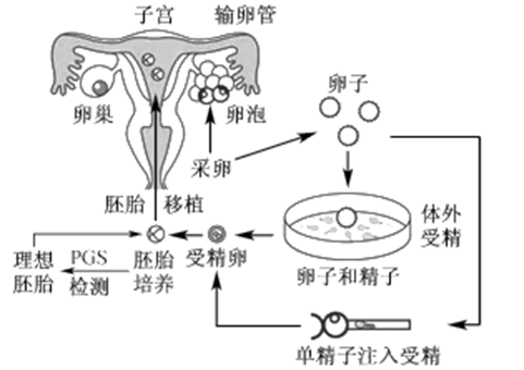 正规黑客