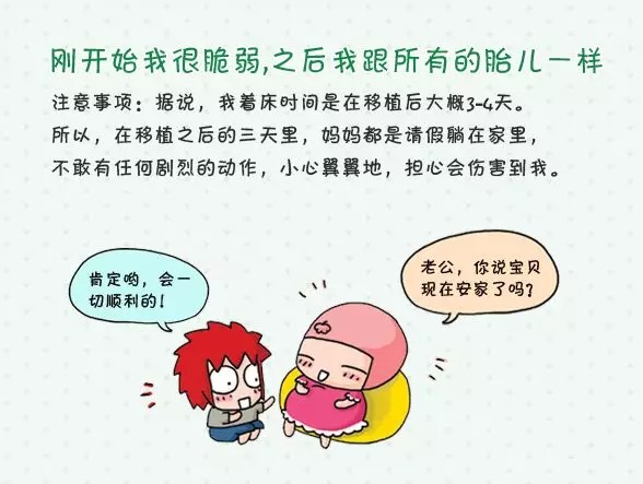 正规黑客