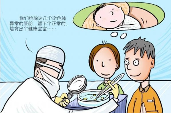 网络安全