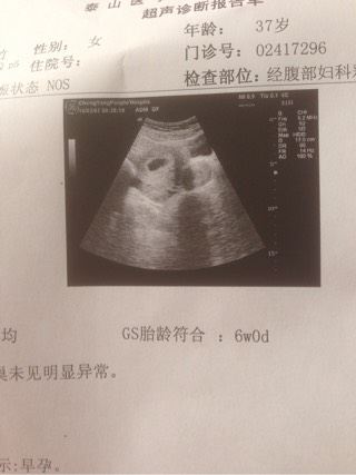 黑客在线接单交易平台网站